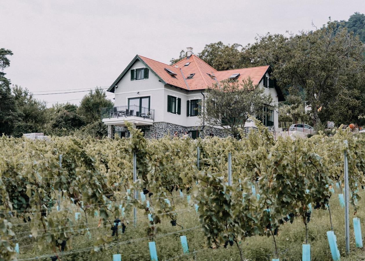 Ferienwohnung Elias Borbirtok Badacsonytomaj Exterior foto